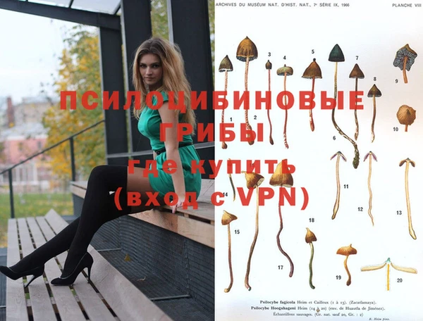 круглые Магас