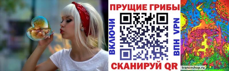 Псилоцибиновые грибы Psilocybine cubensis Куровское